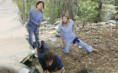 /album/greys-anatomy/greys-anatomy-finale-plane-crash-cliffhanger-jpg/